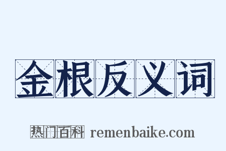 金根反义词是什么意思的图片